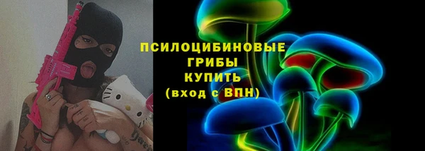 apvp Верея